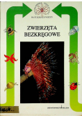 Zwierzęta bezkręgowe