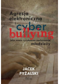 Agresja elektroniczna i cyberbullying jako nowe ryzykowne zachowania młodzieży