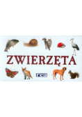 Zwierzęta rozkładanka