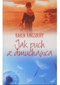 Jak puch z dmuchawca