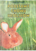 Podstawy chowu królików