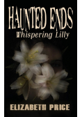 Haunted Ends