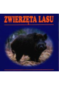 Zwierzęta lasu