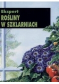Rośliny w szklarniach
