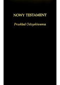 Nowy Testament. Przekład Odzyskiwania