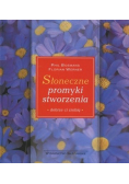 Słoneczne promyki stworzenia