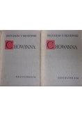 Chowanna Tom 1 i 2