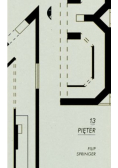 13 pięter