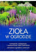 Zioła w ogrodzie