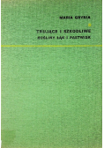 Trujące i szkodliwe Rośliny Łąk i Pastwisk
