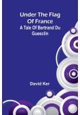 Under the Flag of France