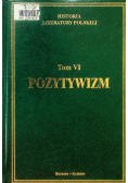 Historia Literatury Polskiej Tom VI Pozytywizm