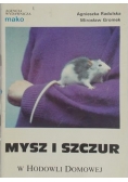 Mysz i szczur w Hodowli domowej