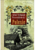Polesie