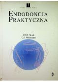 Endodoncja praktyczna