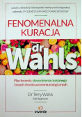 Fenomenalna kuracja