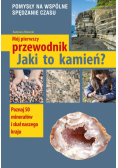 Mój pierwszy przewodnik. Jaki to kamień?