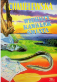 Większy kawałek świata