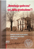 Rewolucja społeczna czy dzika przebudowa