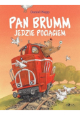 Pan Brumm jedzie pociągiem