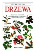 Drzewa