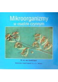 Mikroorganizmy w osadzie czynnym