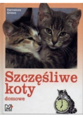 Szczęśliwe koty domowe