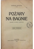 Pożary na bagnie - Powieść w dwóch częściach,1924 r.