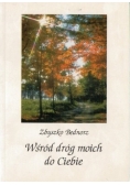 Wśród dróg moich do Ciebie