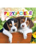 Kalendarz 2015 Przyjaciele