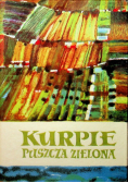 Kurpie Puszcza zielona
