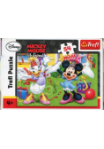 Puzzle mini 54 Miki