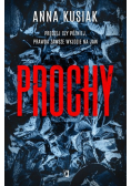 Prochy