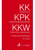 Kodeks karny Kodeks postępowania karnego Kodeks karny wykonawczy
