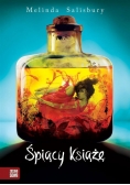 Śpiący Książę, Nowa