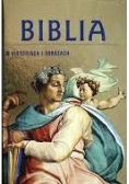Biblia w historiach i obrazach