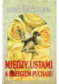 Między ustami a brzegiem pucharu