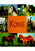Konie