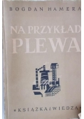 Na przykład Plewa