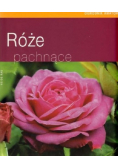 Róże pachnące