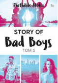 Story of Bad Boys Tom 3