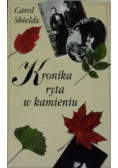 Kronika ryta w kamieniu