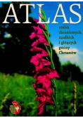 Atlas roślin chronionych rzadkich i ginących gminy Chrzanów