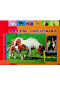 Łagodne zwierzątka Mój pierwszy słowniczek