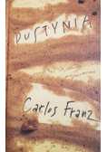 Pustynia