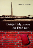 Dzieje Gałęzinowa do 1945 roku