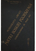 Monografia obrazu Matki Boskiej Pocieszenia 1906 r.