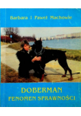 Doberman fenomen sprawności