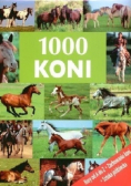 1000 koni