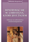 Wpatrywać się w Chrystusa który jest życiem